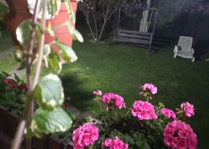 Savinacki Kutak Apartman Takovo