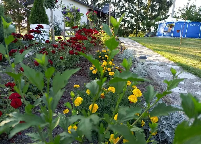 Apartman Savinacki Kutak Takovo