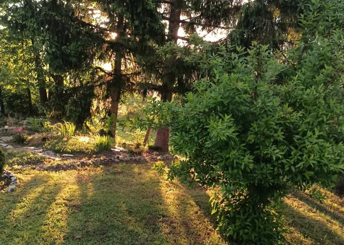 Apartman Savinacki Kutak Takovo